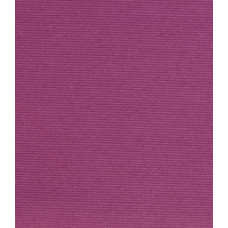 LISO - 21 Purpura